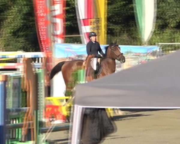Reitturnier Tillmitsch 2024