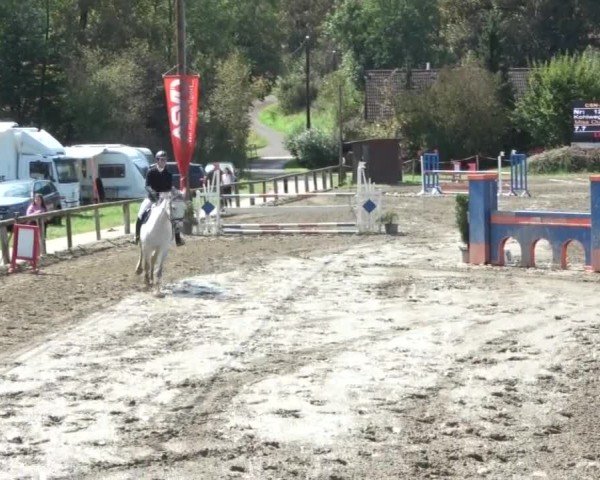 Reitturnier Tillmitsch 2024