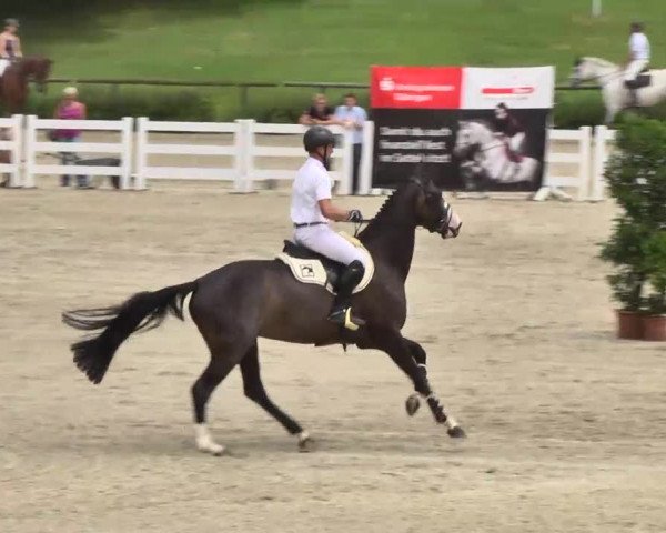 Landeschampionat Baden-Württemberg 2013
