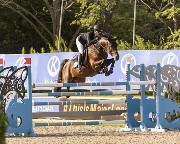 stallion Leon von Briesen (German Sport Horse, 2016, from Lordanos)