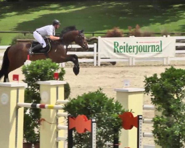 Landeschampionat Baden-Württemberg 2013
