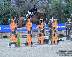 jumper Emerald's Ella (Westphalian, 2016, from Emerald van 't Ruytershof)
