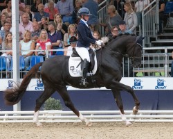 Deckhengst Vitastic OLD (Oldenburger, 2021, von Viva Gold OLD)