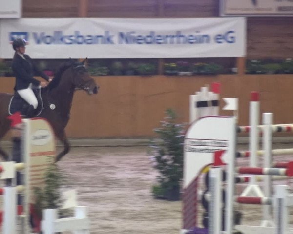 Springturnier Xanten - Reitanlage Miss 2021