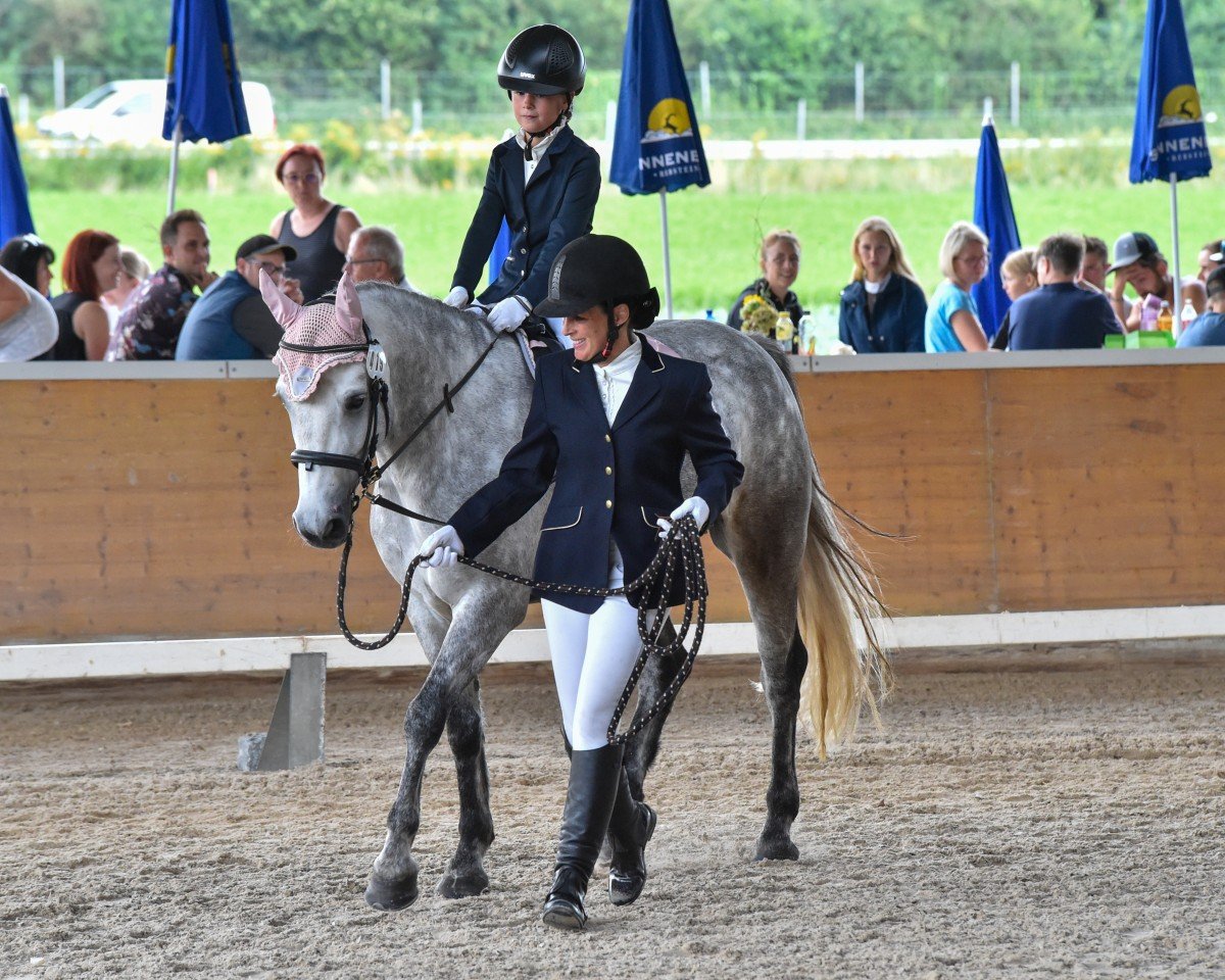 dressage horse Killernan My Pride (Connemara Pony, 2019, from Lehid Canal Prince)