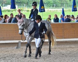 dressage horse Killernan My Pride (Connemara Pony, 2019, from Lehid Canal Prince)