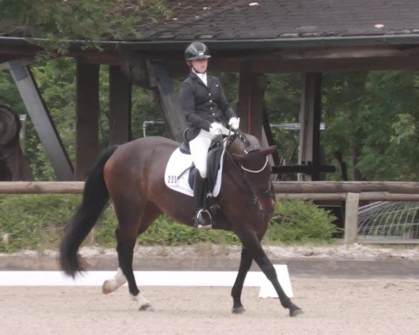 Reitturnier Leonberg 2024