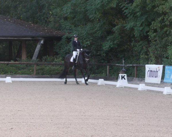 Reitturnier Leonberg 2024