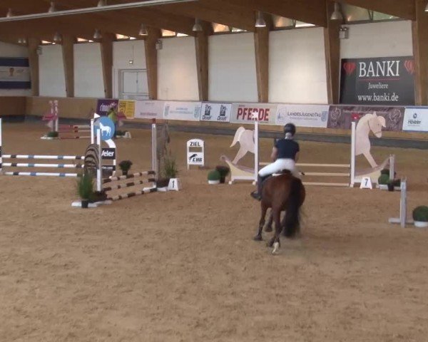 Reitturnier München-Riem/Obb. 2024