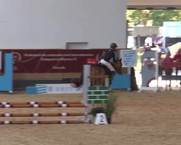 Reitturnier München-Riem/Obb. 2024