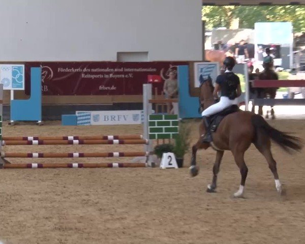 Reitturnier München-Riem/Obb. 2024