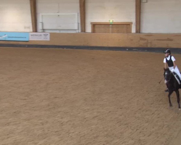 Reitturnier München-Riem/Obb. 2024