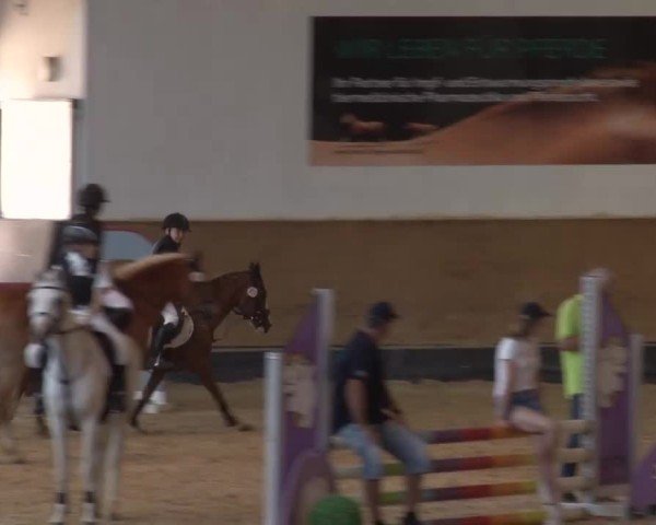 Reitturnier München-Riem/Obb. 2024