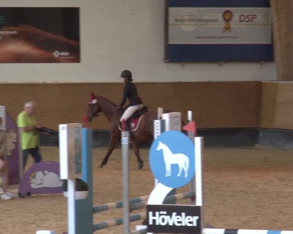 Reitturnier München-Riem/Obb. 2024