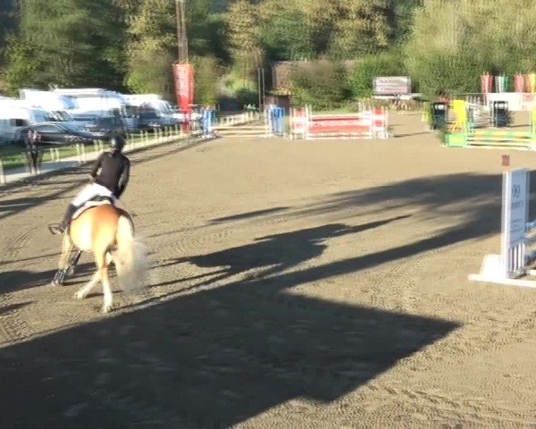Reitturnier Tillmitsch 2024