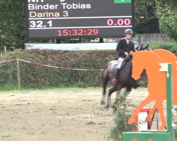 Reitturnier Tillmitsch 2024