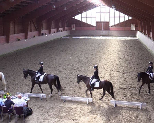 Reitturnier Dortmund-Barop 2024