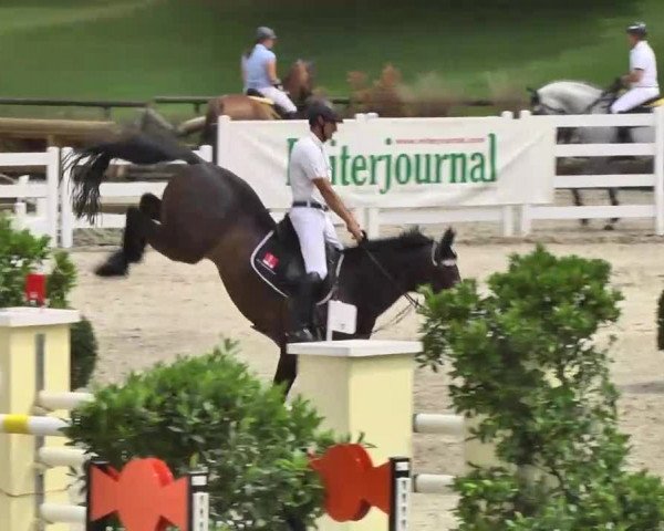 Landeschampionat Baden-Württemberg 2013