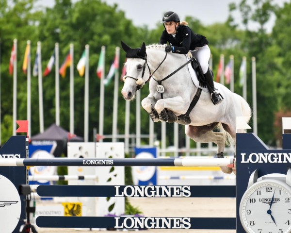 jumper Chesmu Kj (Hanoverian, 2011, from Cornet Obolensky) jumper Chesmu Kj (Hanoverian, 2011, from Cornet Obolensky)