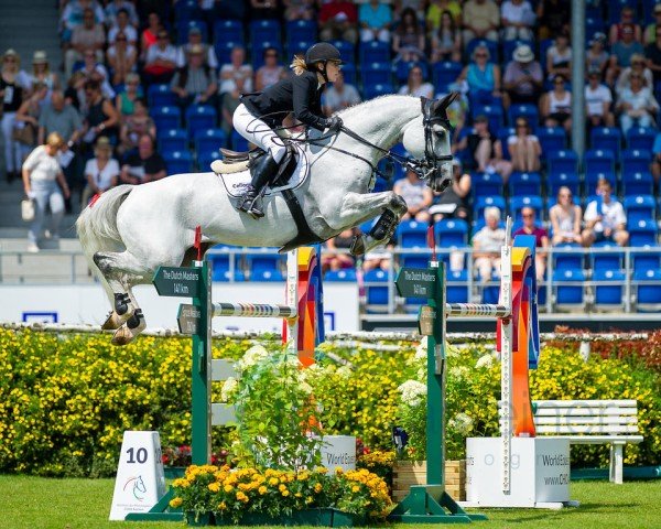 jumper Buettner´s Minimax (Hanoverian, 2009, from Cornado NRW)