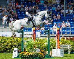 jumper Buettner´s Minimax (Hanoverian, 2009, from Cornado NRW)