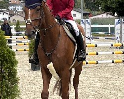 jumper Kegetricia van Beek (KWPN (Royal Dutch Sporthorse), 2015, from Fantomas de Muze)