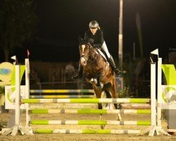 jumper Grand Pine (German Warmblood, 2017, from Ggn Grand Pilot)