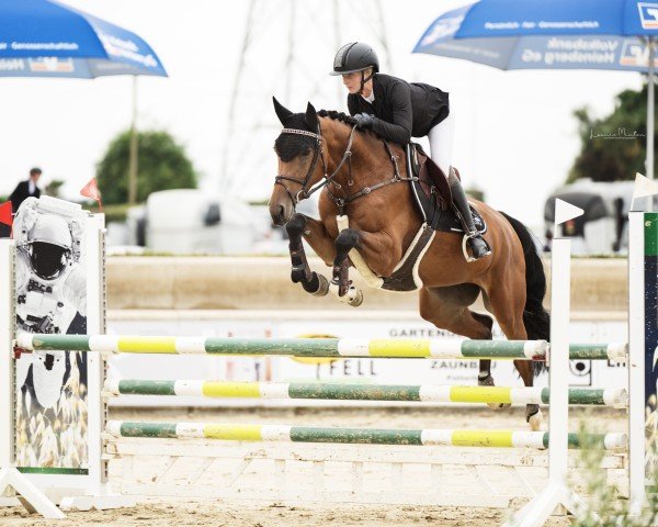 jumper Conyadora (Westphalian, 2019, from Contendrix)