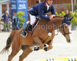 jumper Glamour Es (KWPN (Royal Dutch Sporthorse), 2011, from Echo van het Spieveld)