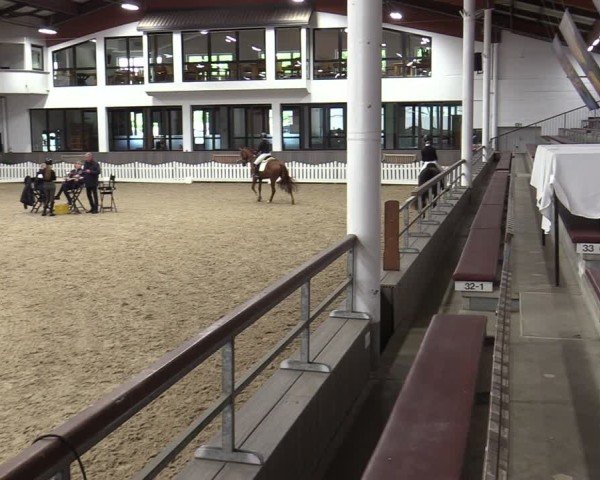 Westfälische Stutenleistungsprüfung Münster-Handorf 2024