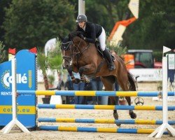 jumper Balougraf's Bella (Oldenburg show jumper, 2019, from Balougraf Esc)
