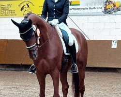 dressage horse Finest Performance (Hanoverian, 2016, from Nymphenburg's First Ampere)