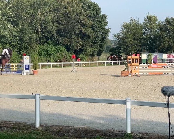 Reitturnier Zillhofen/Obb. 2024