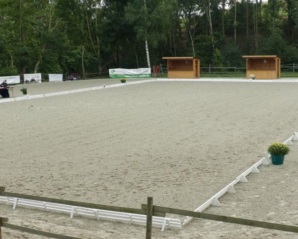 Reitturnier Ditzingen 2024
