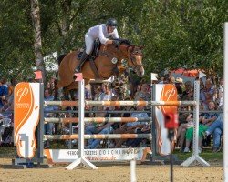 broodmare Charlotte Vom Jakobshof (Hanoverian, 2017, from Comme il Faut)