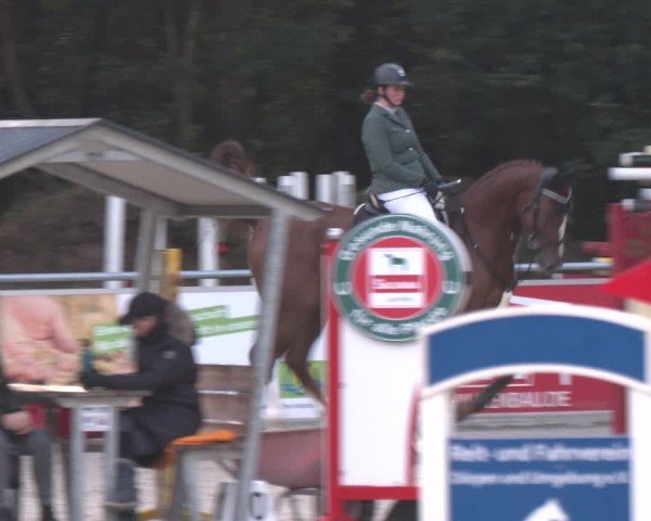 Equestrian Show Dörpen 2024