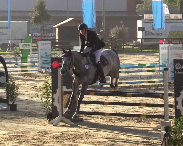 Reitturnier Albersloh 2024