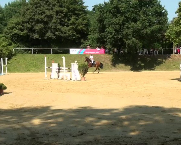 Sommerturnier Dülken-Viersen 2013