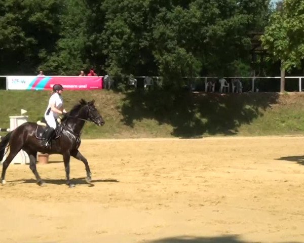 Sommerturnier Dülken-Viersen 2013