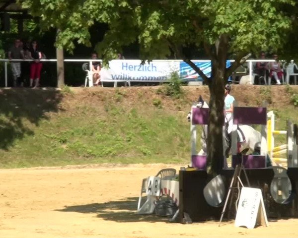 Sommerturnier Dülken-Viersen 2013