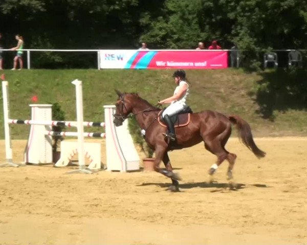 Sommerturnier Dülken-Viersen 2013