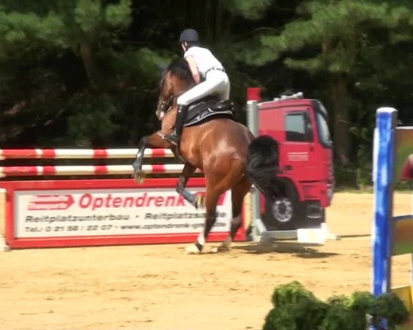 Sommerturnier Dülken-Viersen 2013