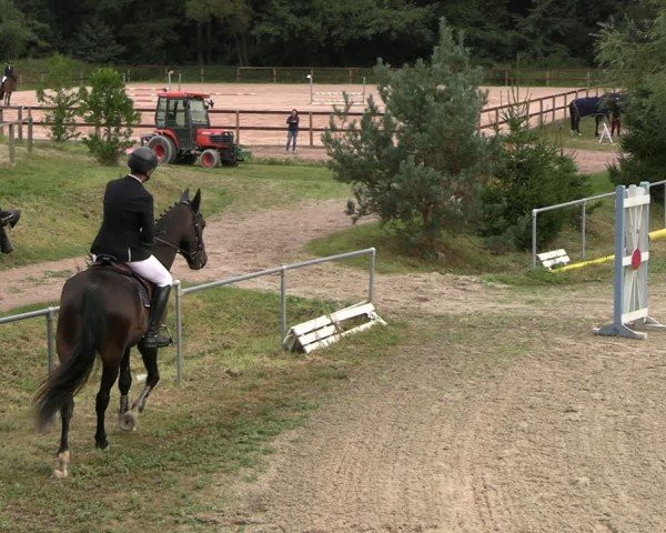 Reitturnier Bad Liebenstein/Sorga 2024