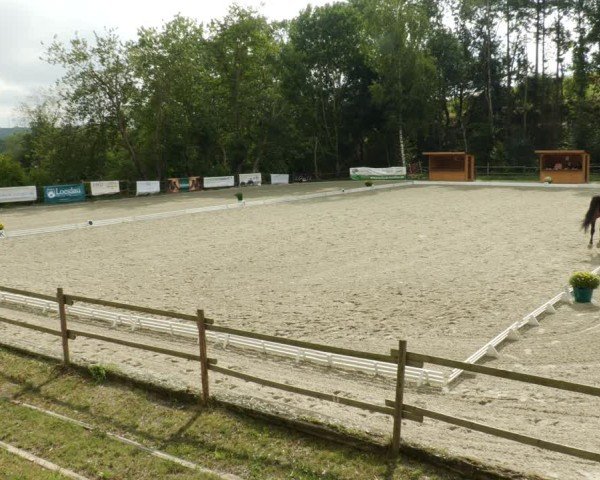 Reitturnier Ditzingen 2024