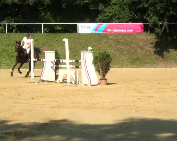 Sommerturnier Dülken-Viersen 2013