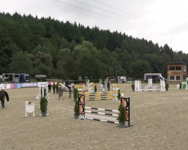 Reitturnier Bad Liebenstein/Sorga 2024