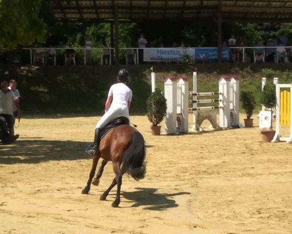 Sommerturnier Dülken-Viersen 2013