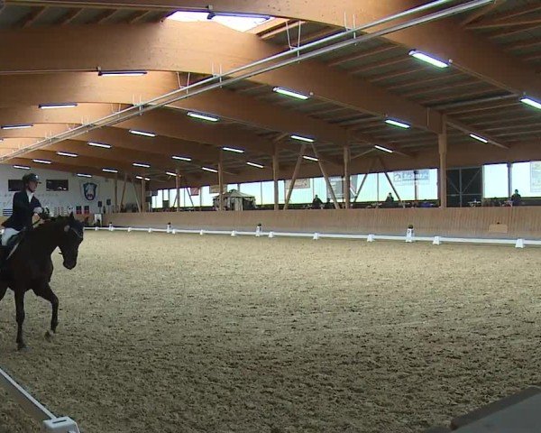 Reitturnier Grafenrheinfeld/Ufr. 2024