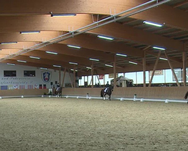 Reitturnier Grafenrheinfeld/Ufr. 2024