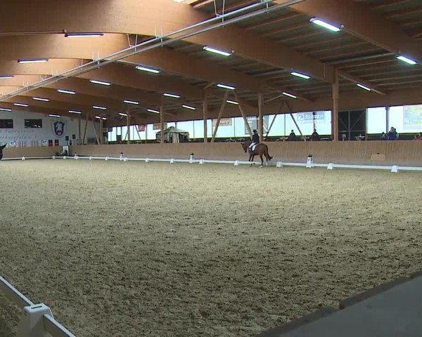 Reitturnier Grafenrheinfeld/Ufr. 2024
